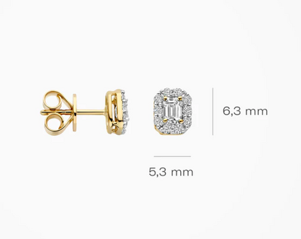 LG7010Y Blush 14kt gouden oorringen Dames