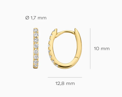 LG7006Y Blush 14kt gouden oorringen Dames