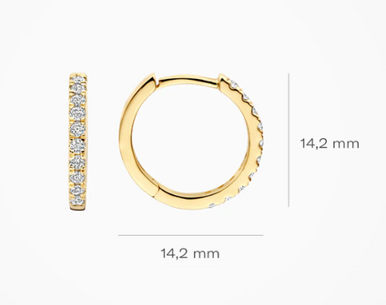 LG7012Y Blush 14kt gouden oorringen Dames