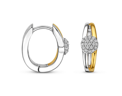 N6P62 Naiomy Silver Zilveren Oorbellen voor Dames