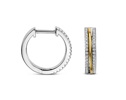 N6P73 Naiomy Silver Zilveren Oorbellen voor Dames