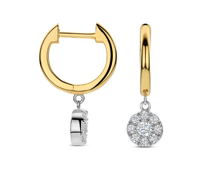 N6S57 Naiomy Silver Zilveren Oorbellen voor Dames