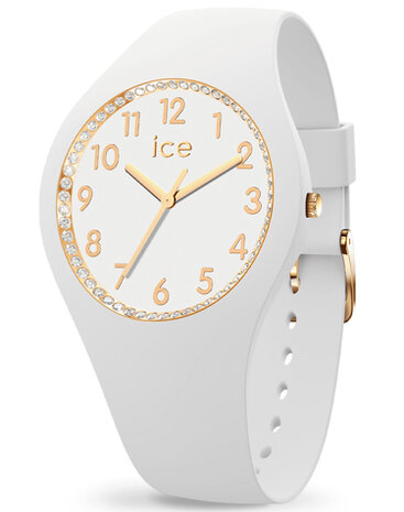 021048 Ice Watch Cosmos