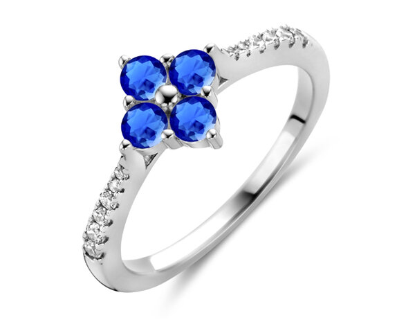 R2480BLU Silver Rose juwelen