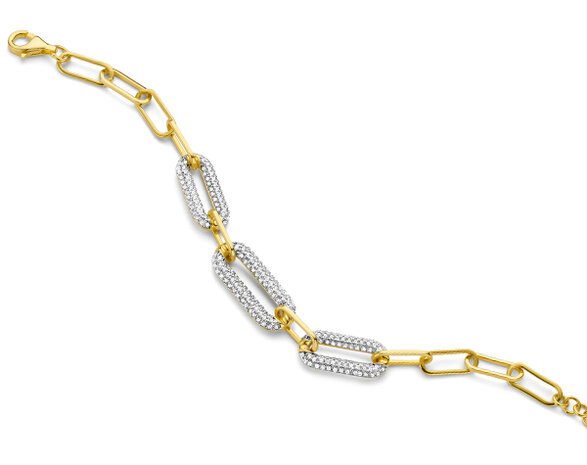 BR2548G Silver Rose juwelen