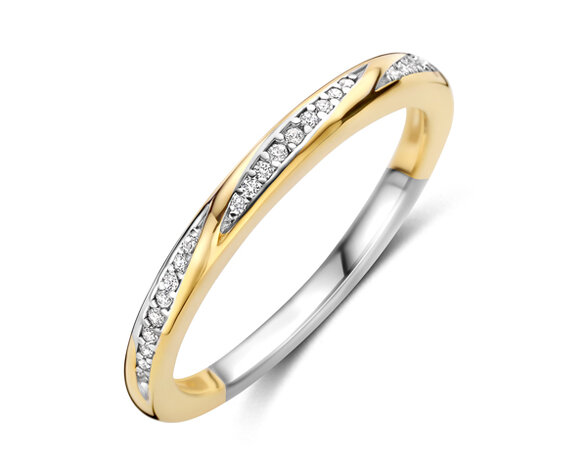 R2580G Silver Rose juwelen