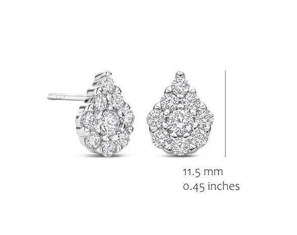 EA2578W-1 Silver Rose juwelen