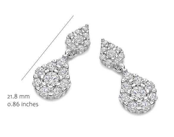 EA2578W-2 Silver Rose juwelen