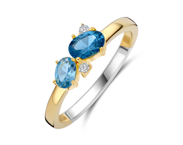 R2564AQ Silver Rose juwelen