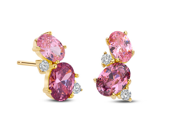 EA2563P Silver Rose juwelen