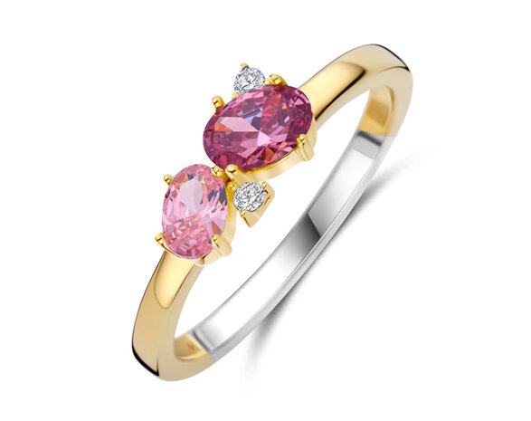 R2564P Silver Rose juwelen