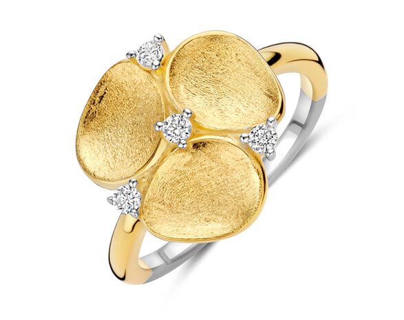 R2570GB Silver Rose juwelen