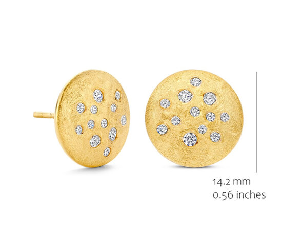 EA2569GB Silver Rose juwelen