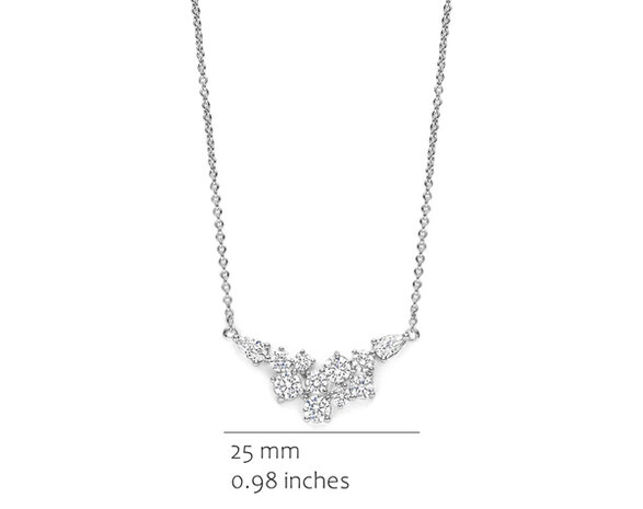 CH2638W Silver Rose juwelen