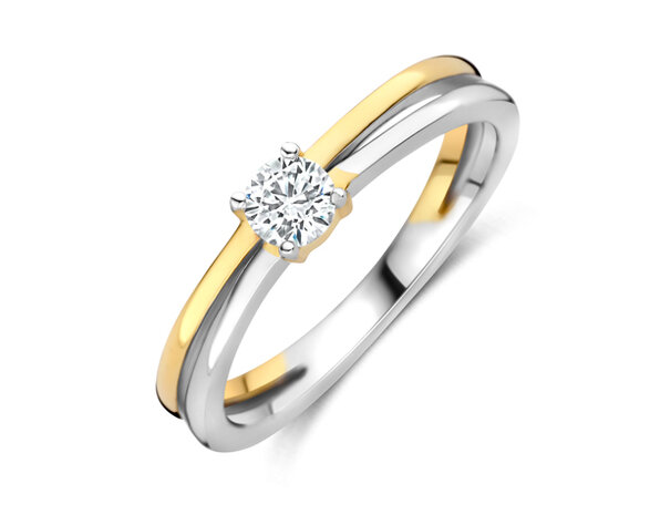 R2615G Silver Rose juwelen