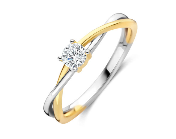 R2616G Silver Rose juwelen