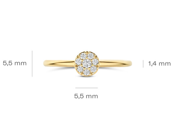 1277YZI Blush juwelen