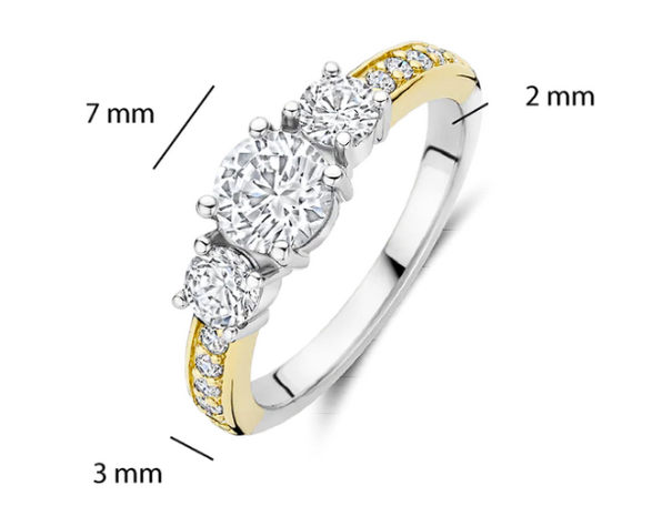 12044ZY  Ti Sento Milano Zilveren Ring