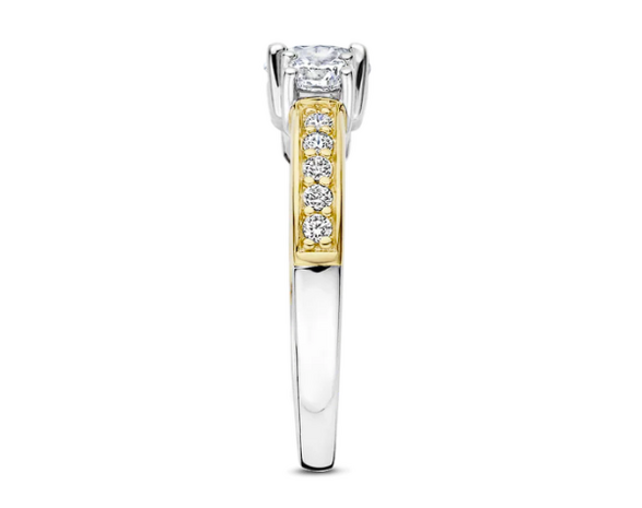 12044ZY  Ti Sento Milano Zilveren Ring