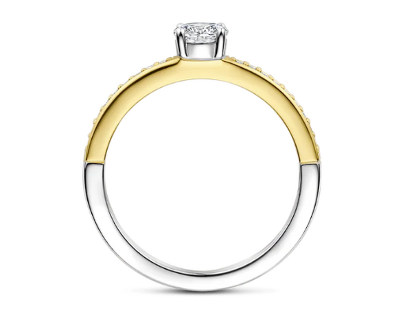 12109ZY  Ti Sento Milano Zilveren Ring