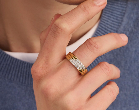 12411ZY Ti Sento Milano Zilveren Ring