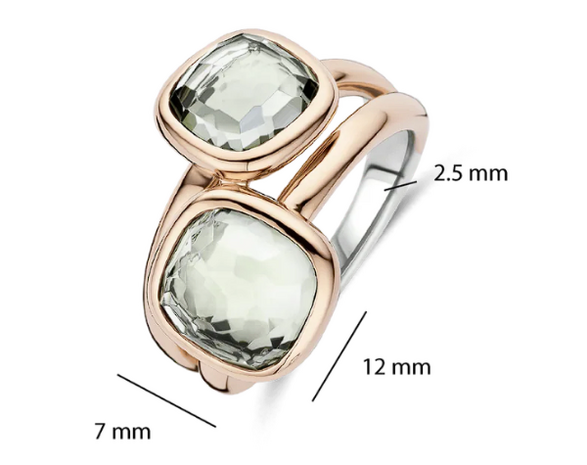 12413GR Ti Sento Milano Zilveren Ring