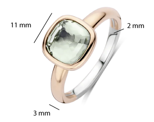 12415GR Ti Sento Milano Zilveren Ring