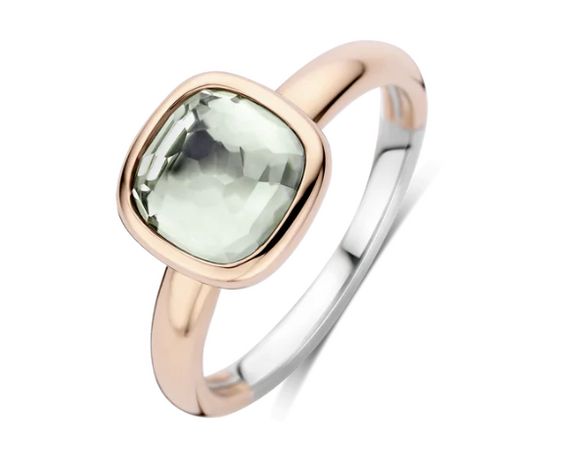12415GR Ti Sento Milano Zilveren Ring