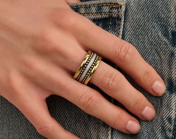 12423ZY Ti Sento Milano Zilveren Ring
