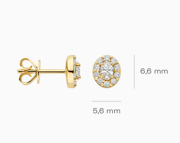 LG7033Y Blush 14kt gouden oorringen Dames