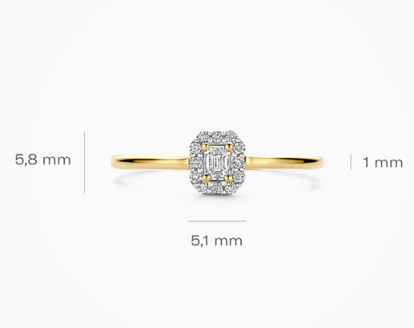 LG1022Y Blush 14kt gouden ring met lab grown diamant