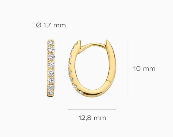 LG7006Y Blush 14kt gouden oorringen Dames