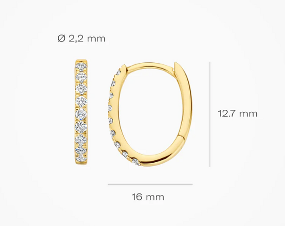 LG7008Y Blush 14kt gouden oorringen Dames