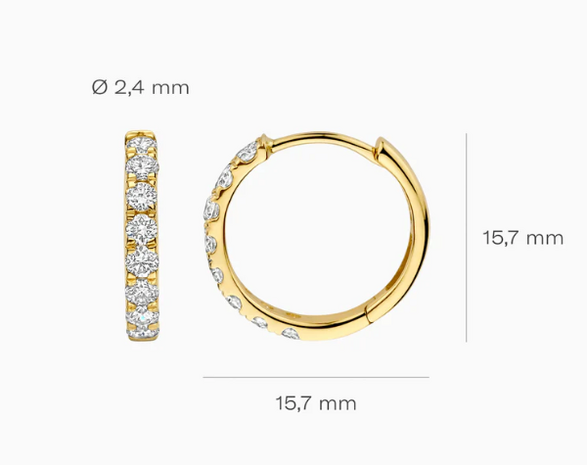 LG7032Y Blush 14kt gouden oorringen Dames