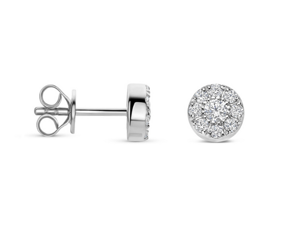 N6S56 Naiomy Silver Zilveren Oorbellen voor Dames