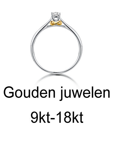 Gouden-Juwelen-9ct-18ct
