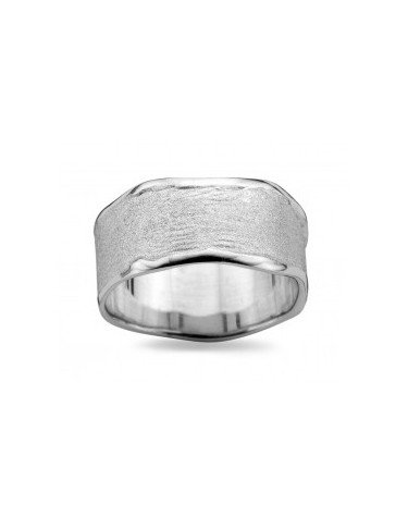 DZ0002 D'Euxx Silver