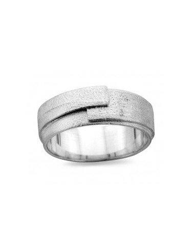 DZ0006 D'Euxx Silver