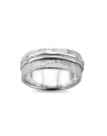 DZ0012 D'Euxx Silver