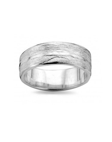 DZ0016 D'Euxx Silver