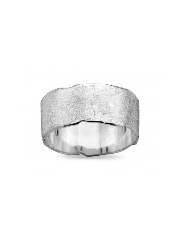 DZ0018 D'Euxx Silver