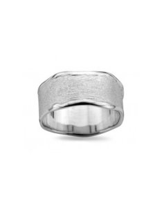 DZ0002 D'Euxx Silver