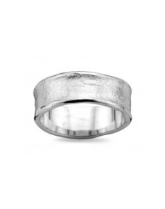 DZ0010 D'Euxx Silver