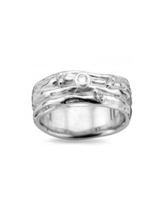 DZ0013BT D'Euxx Silver Briljant