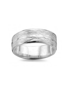 DZ0017BT D'Euxx Silver Briljant