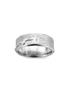 DZ0019BT D'Euxx Silver Briljant