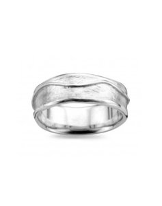 DZ0020 D'Euxx Silver